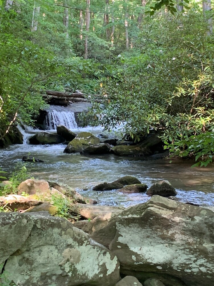 Yellow Creek by 2BlessingDesign