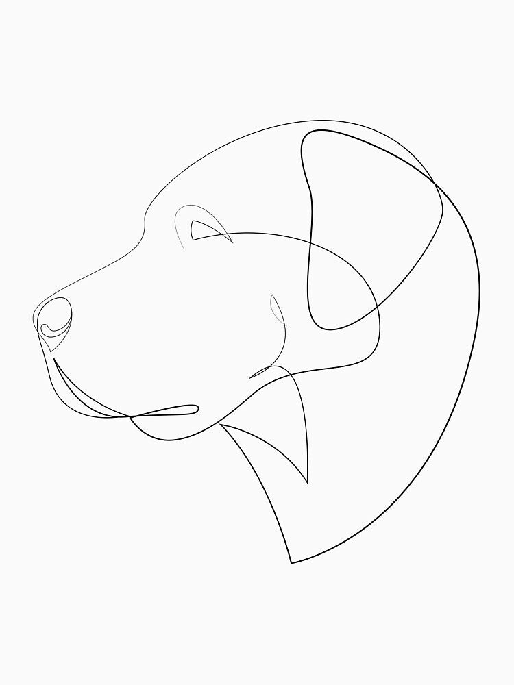 Anatolian Shepherd Dog - one line dog by addillum