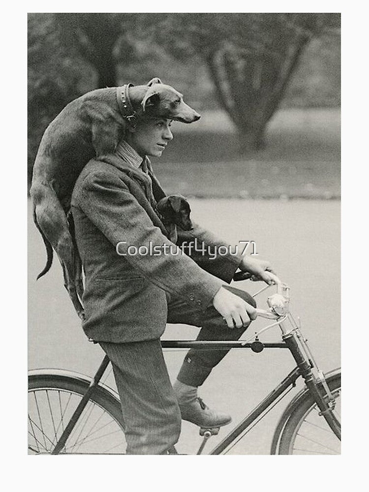 Vintage dog photos Dachshund Dogs retro pet love bicycle by Coolstuff4you71