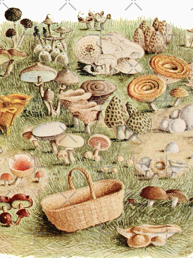 Wild Mushrooms Vintage Cottagecore Illustration by MagicStrawberry