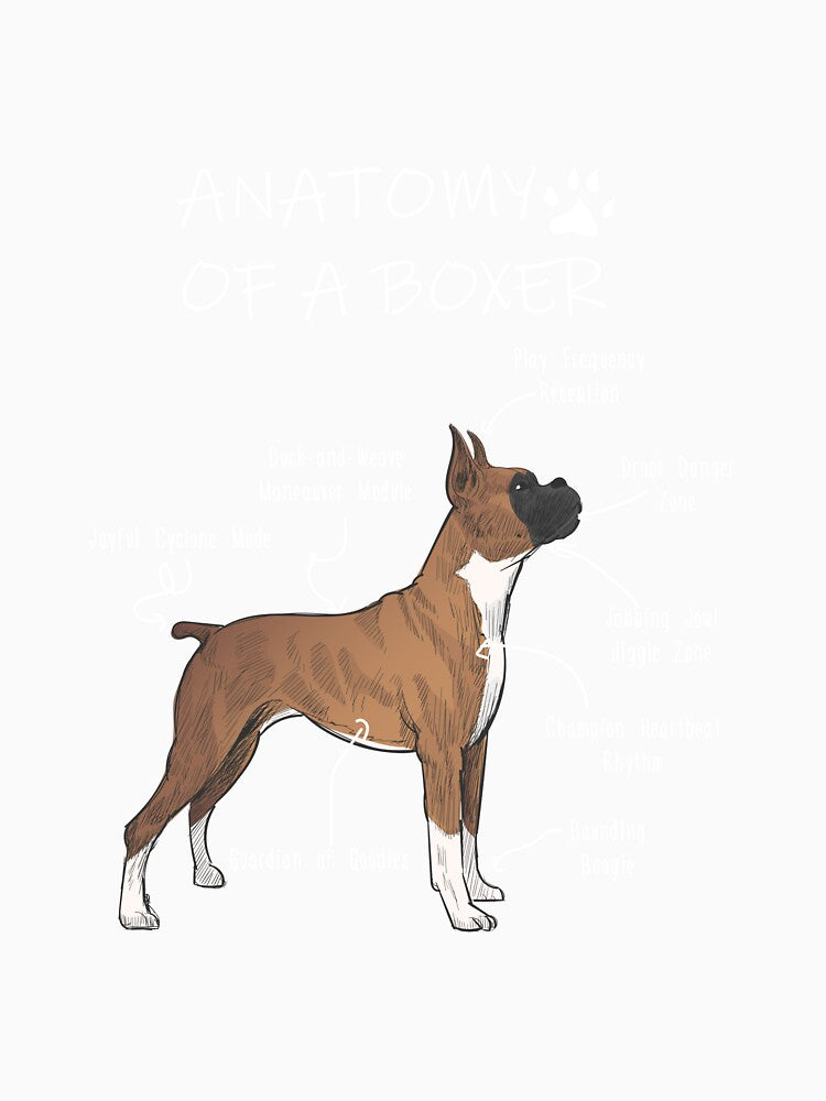 Anatomy of a Boxer by Petensity
