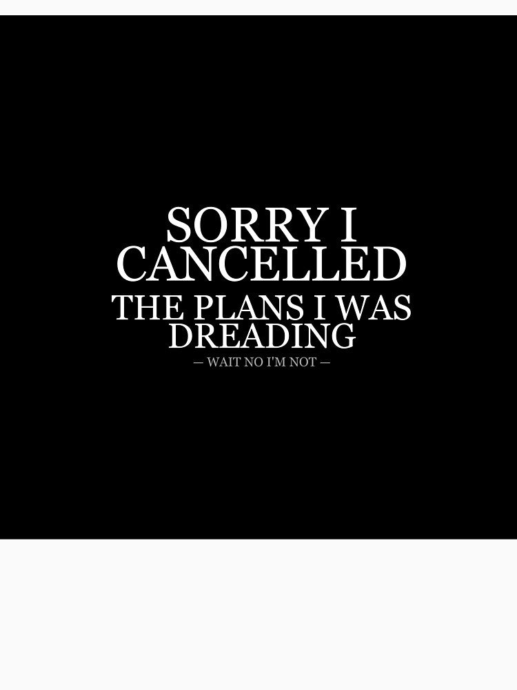 Sorry I Cancelled The Plans I Was Dreading by LowKesDesigns