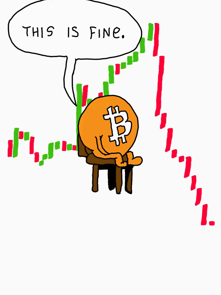 Bitcoin Crash - This is Fine Comic by FunnyAndLoves