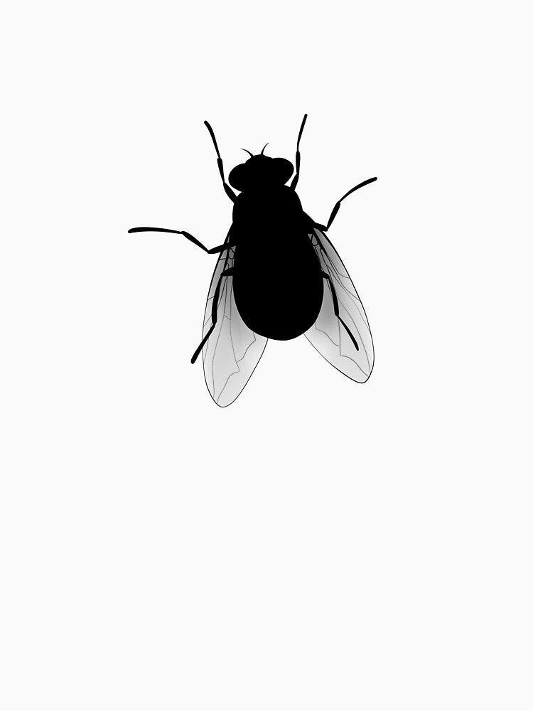 Minimal Fly Illustration - Black and White Insect Art by ZizoaArt