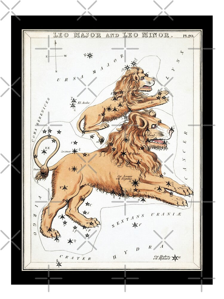 Leo Major Minor Vintage Zodiac Astrology Print by MarkedArtPrints