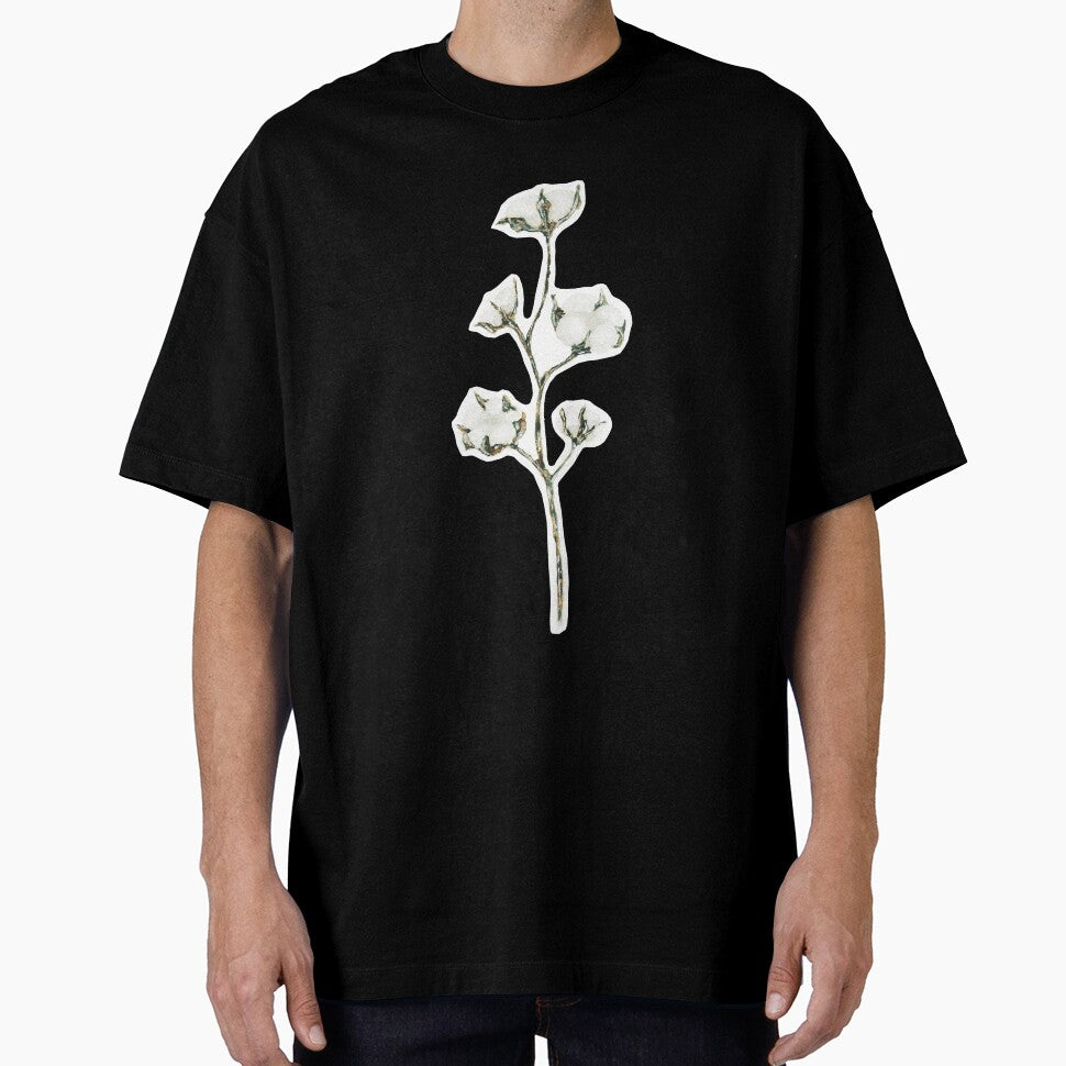 Watercolour Cotton Flowers / Cotton Plant by CaitlinCalling