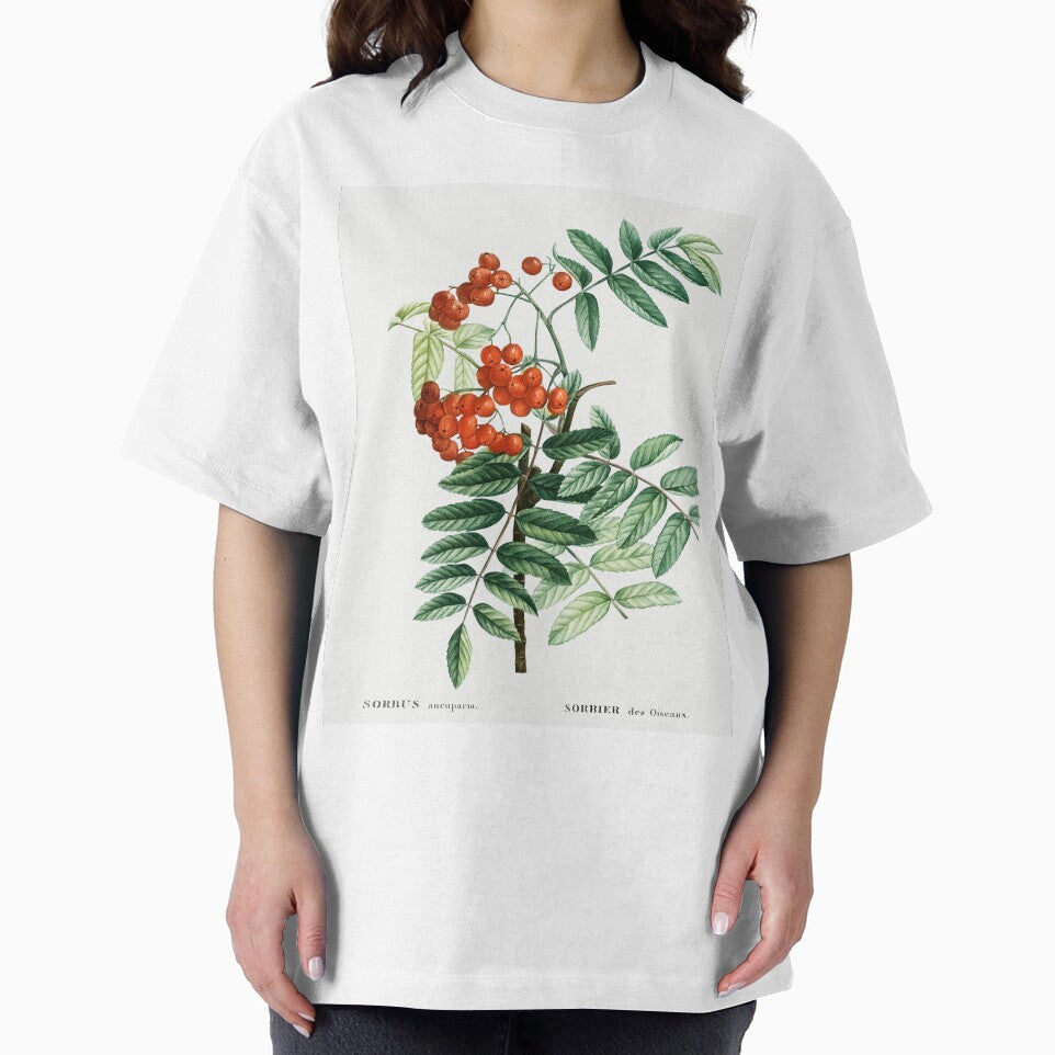 Mountain Ash Botanical Illustration by TheRetroArtRoom