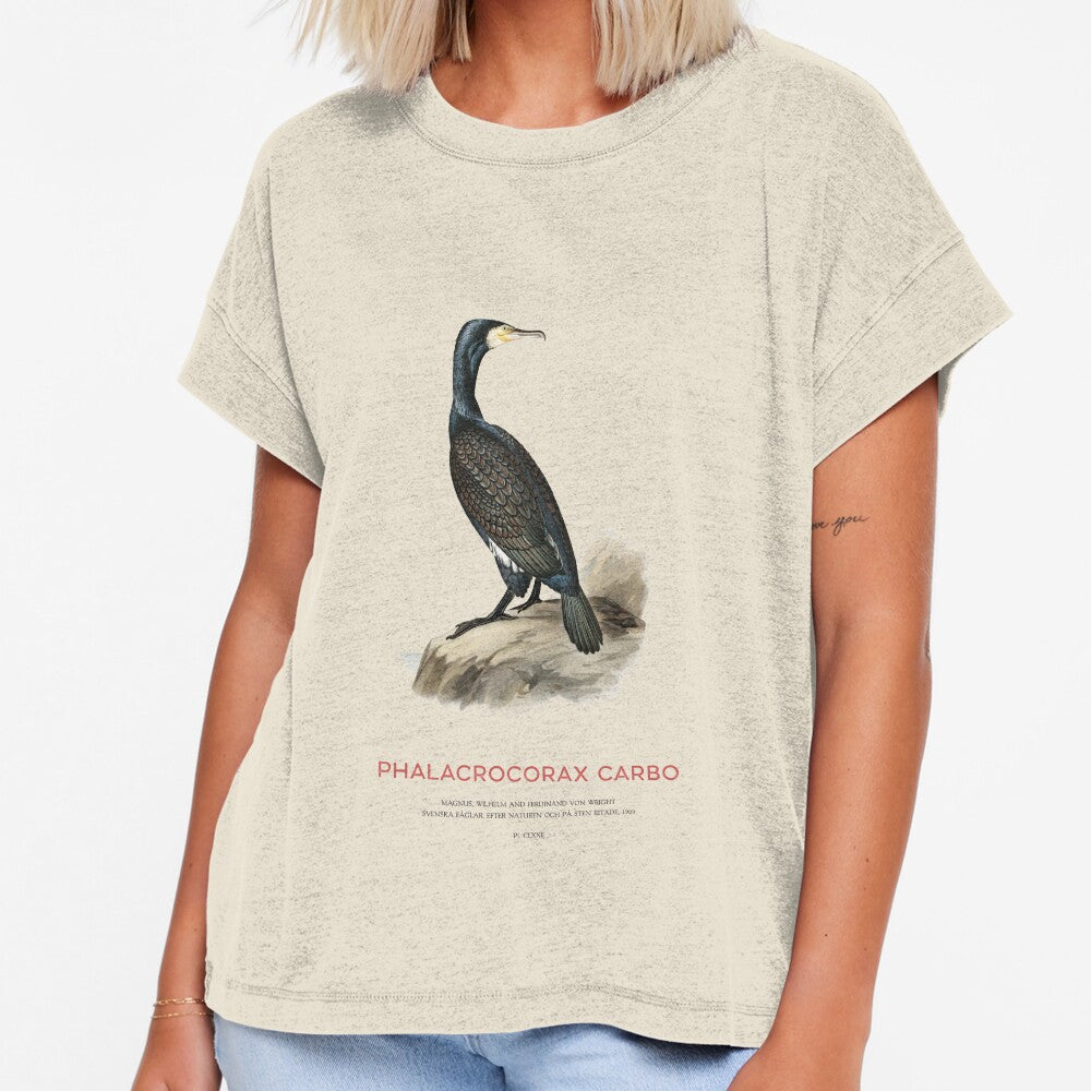 Great cormorant or Phalacrocorax carbo by Vintagrafica