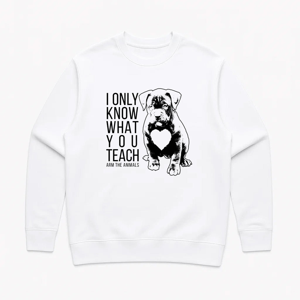 Unisex | What You Teach | Crewneck Sweatshirt