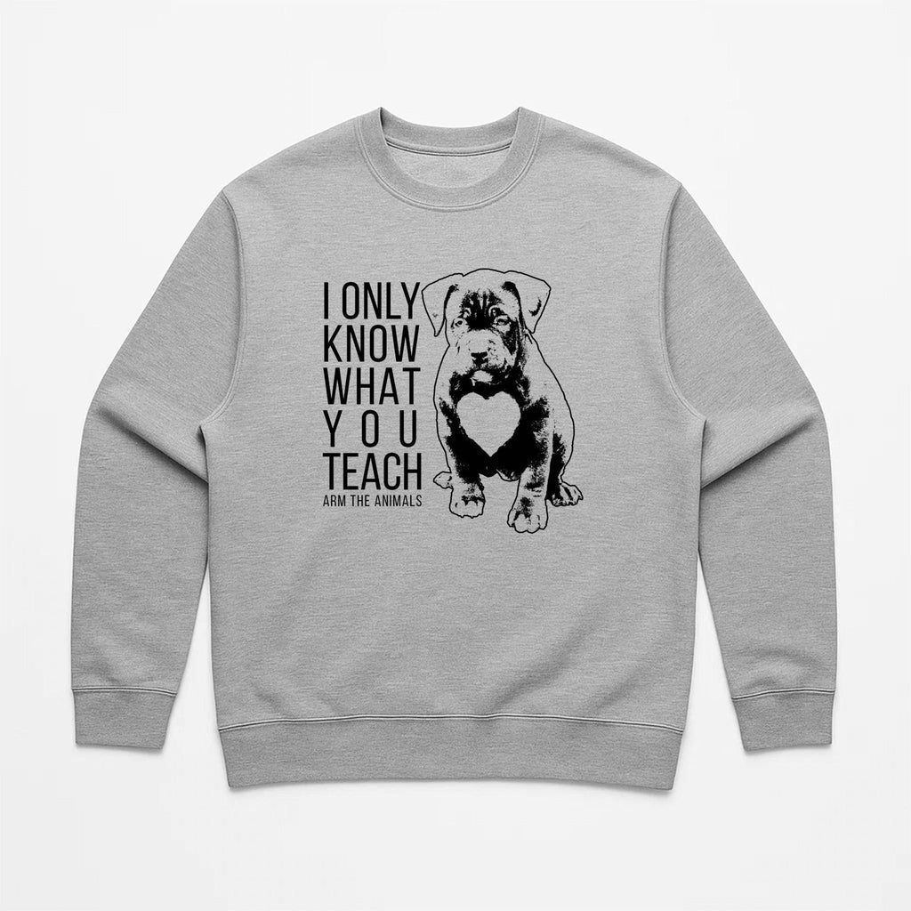 Unisex | What You Teach | Crewneck Sweatshirt