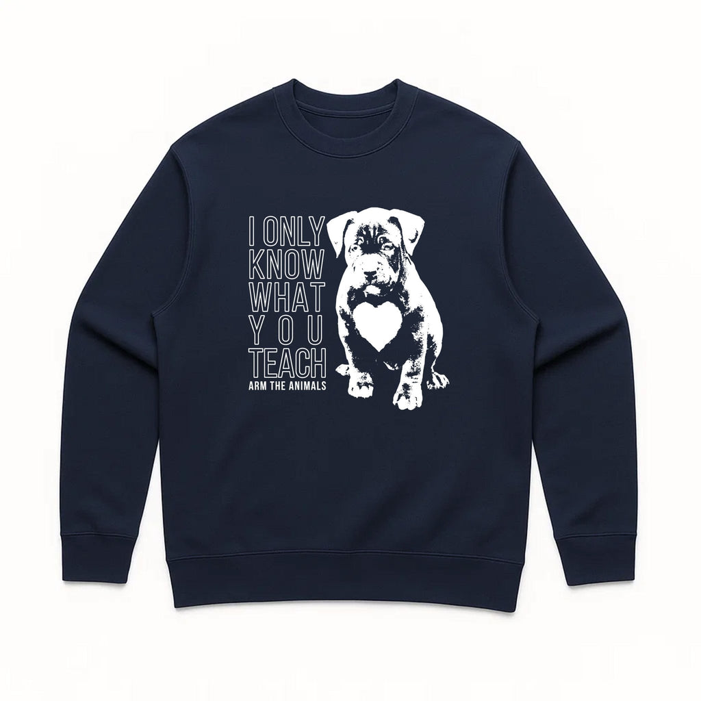 Unisex | What You Teach | Crewneck Sweatshirt