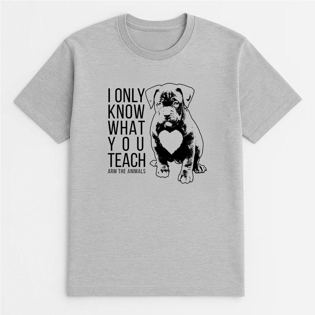 Unisex | What You Teach | Tee