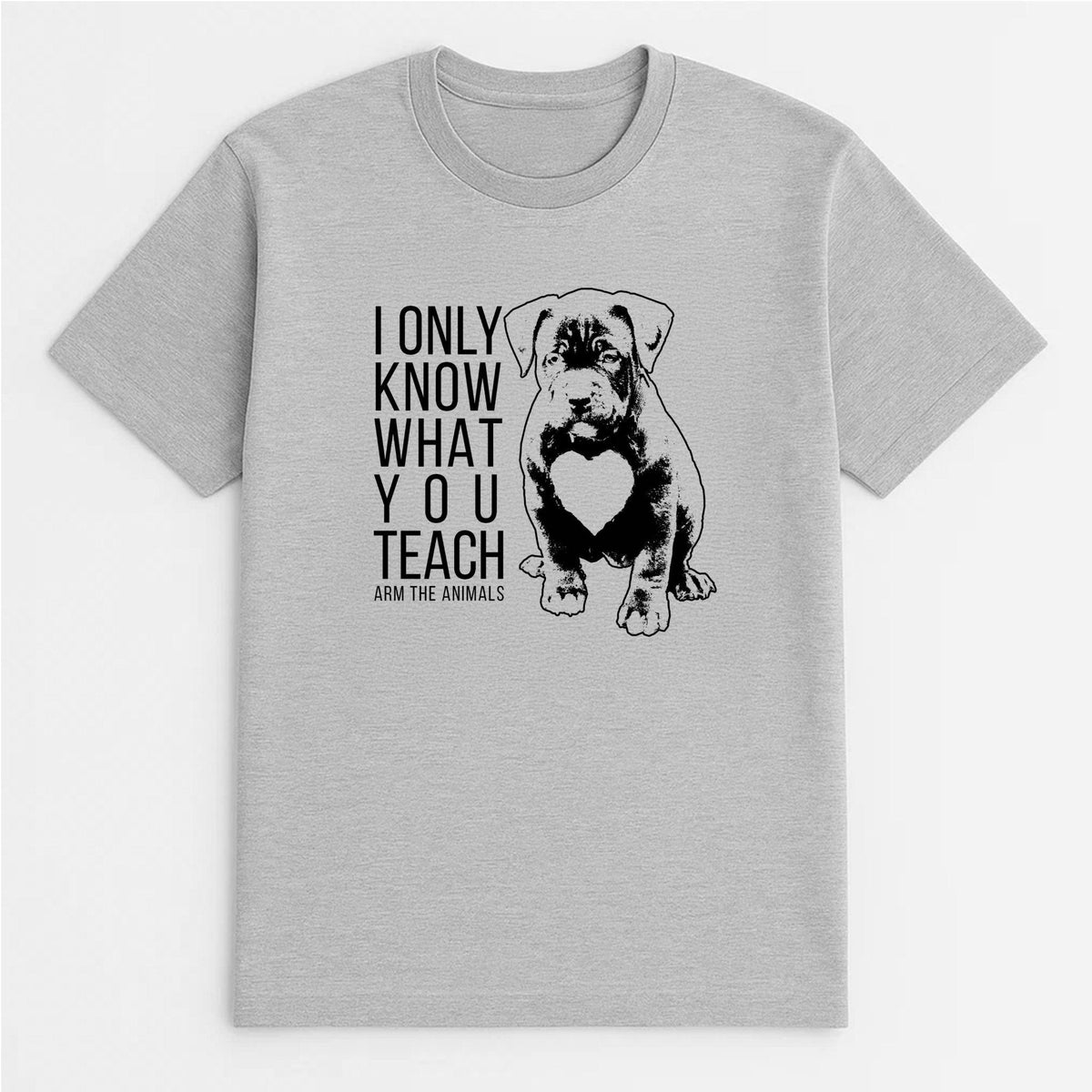 Unisex | What You Teach | Tee