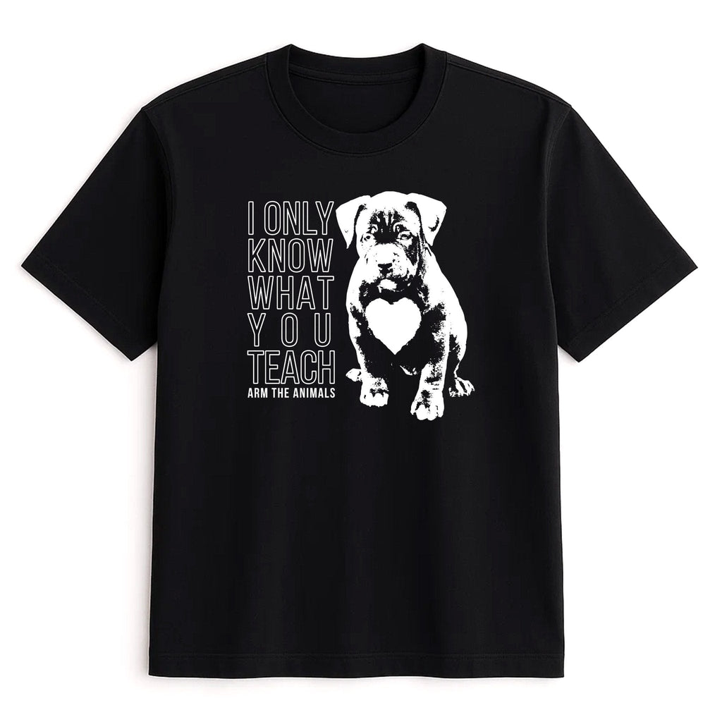 Unisex | What You Teach | Tee