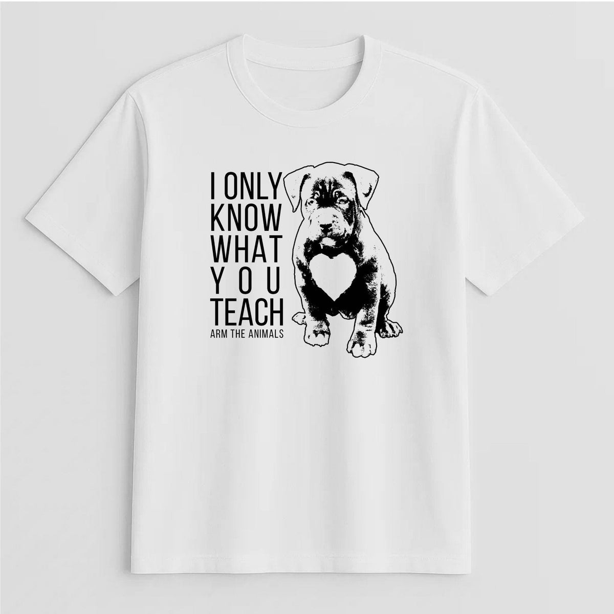 Unisex | What You Teach | Tee