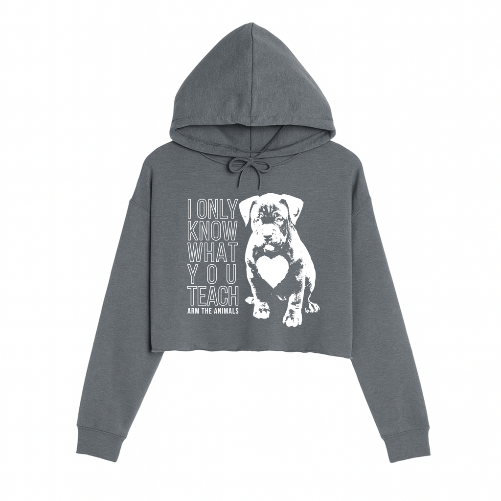 Women's | What You Teach | Crop Hoodie